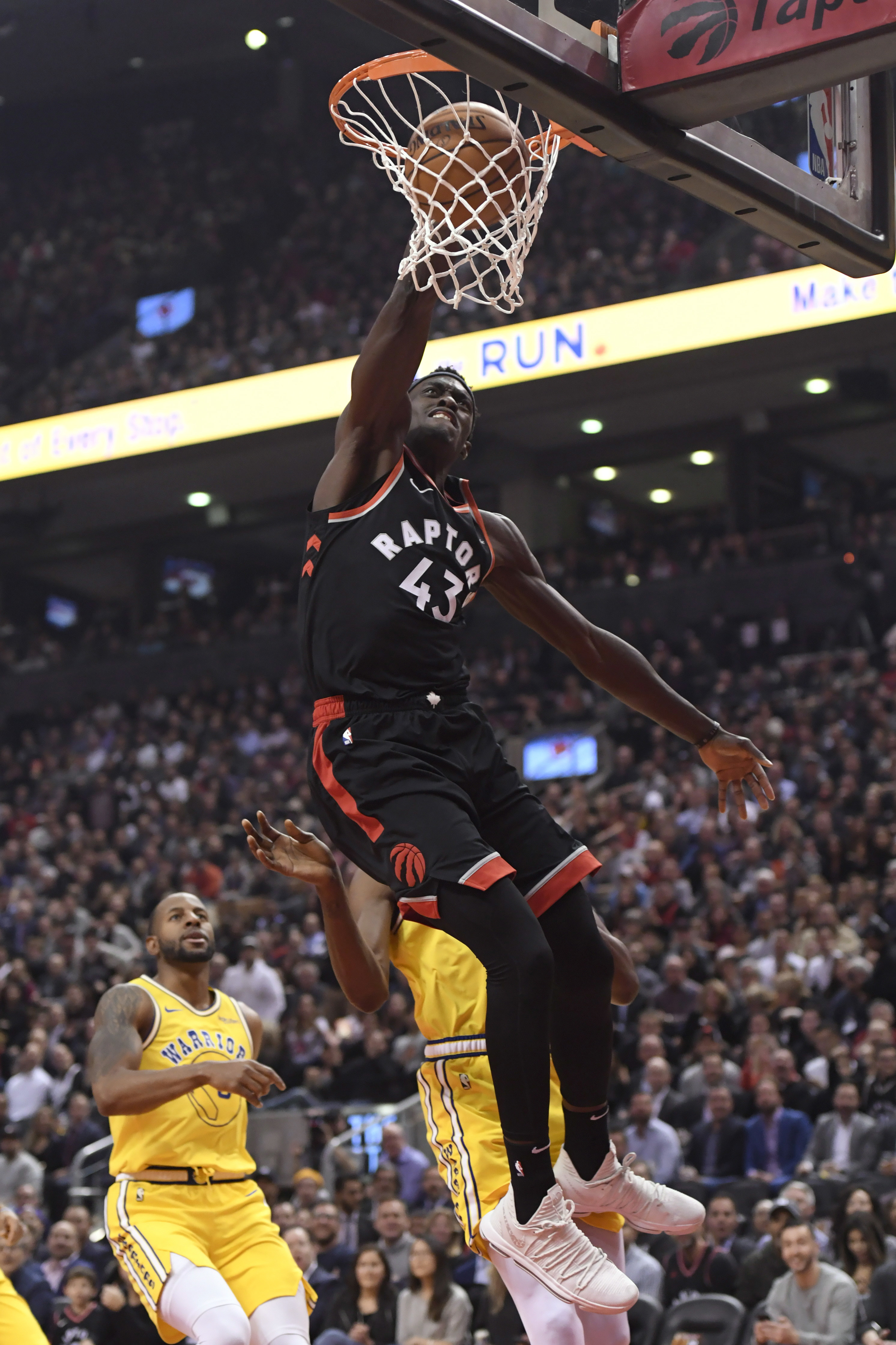 记录和放大 记录和放大